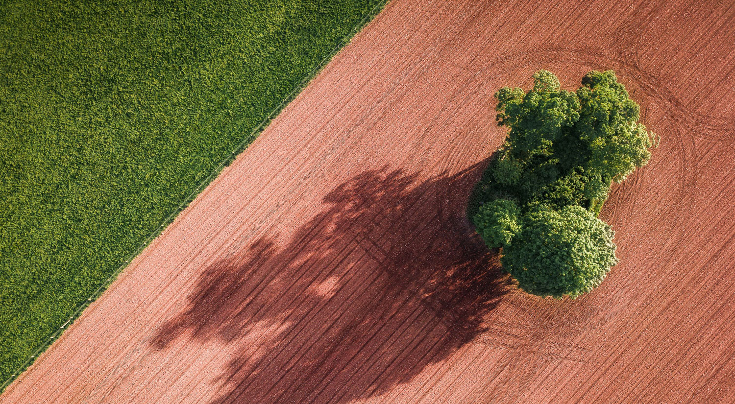 Entwicklungskooperation im Bereich Smart Farming