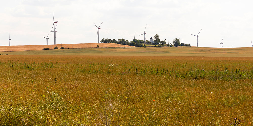 WMX_Sustainability_Environment