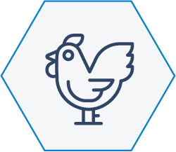 WIMEX_GEFLUEGEL_Icn1