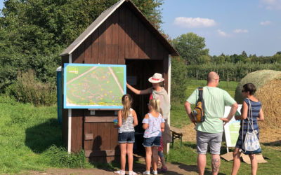 Nach Maislabyrinth kommt Apfelernte