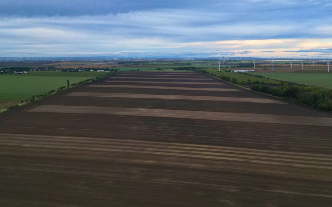 Versuch macht klug – Regenerative Landwirtschaft