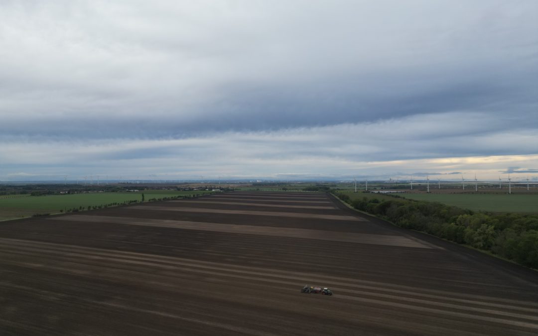 Wimex Gruppe testet Regenerative Landwirtschaft