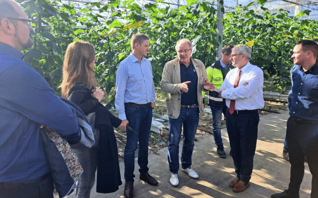 Bördegarten braucht mehr Platz im Hightech-Gewächshaus