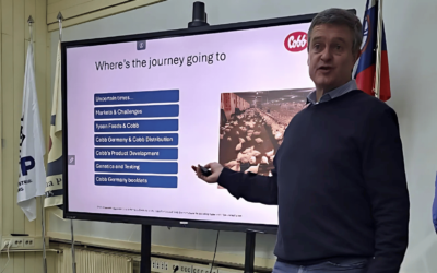 Gelungener Workshop zum Abschluss des Jahres 2024 in Slowenien