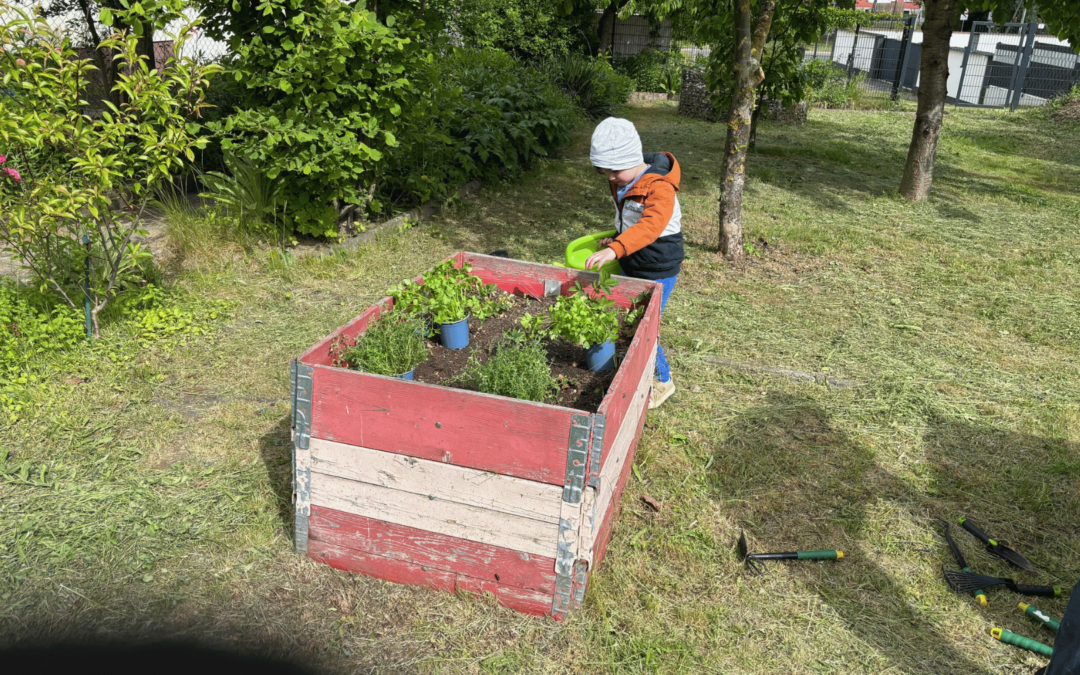 Gesunde Ernährung erleben – mit Kräutern aus dem Bördegarten