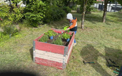 Gesunde Ernährung erleben – mit Kräutern aus dem Bördegarten