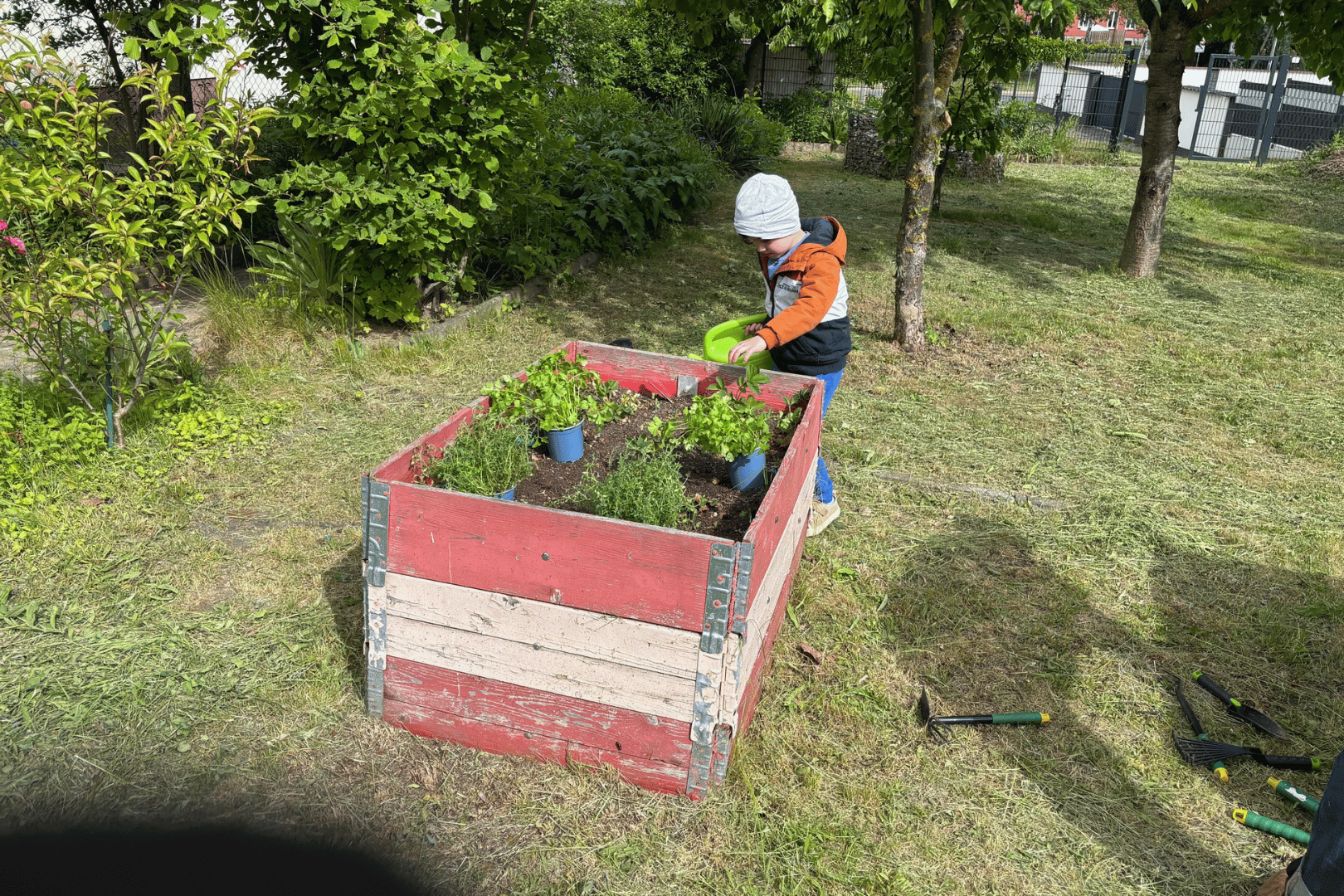 062025_Pflanztag